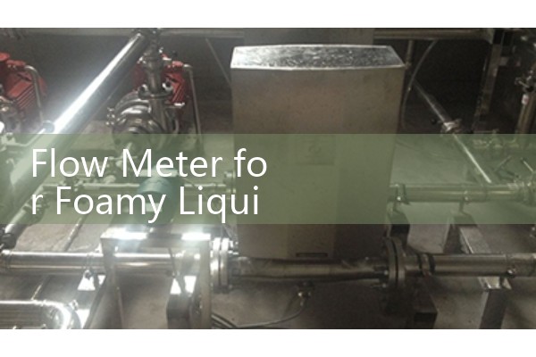 Flow Meter for Foamy Liquids: Overcoming Entrained Gas in Process Lines